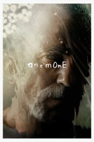 Anêmona